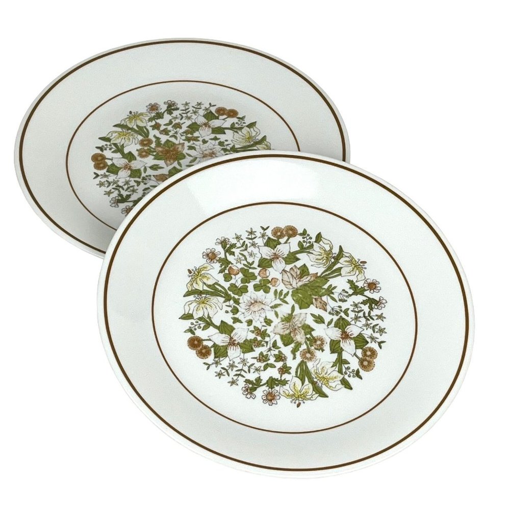 Vintage Corelle Indian Summer Luncheon Salad Plates Set of 2